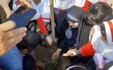 کاشت نهال به یاد شهدای کودک غزه 